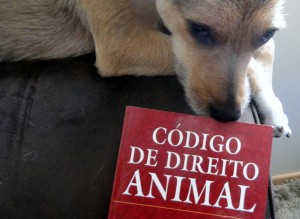 DJ_codigo