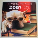 how_smart_is_your_dog